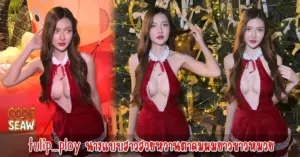 tulip_ploy vk
